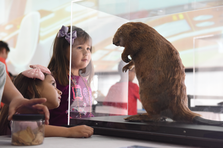 Picture for category Onsite at the Museum