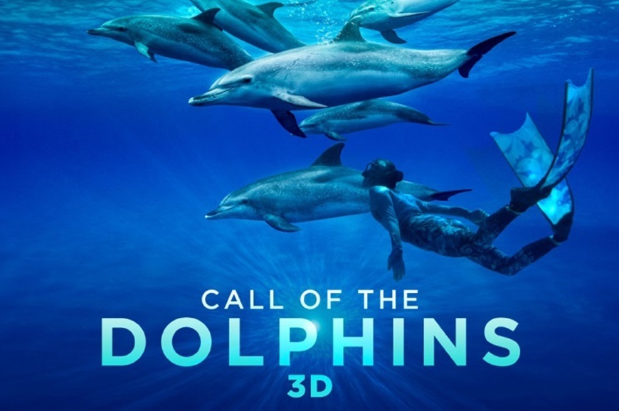Picture of Call of the Dolphins 3D